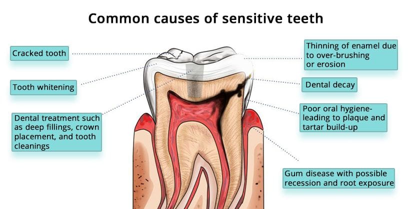 Endodontist Logan Utah